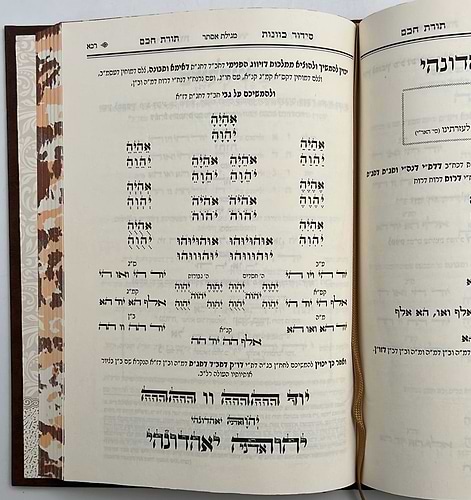 סידור תורת חכם - חלק ימי הפורים / הרב י.מ מורגנשטרן