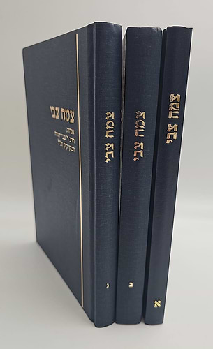 צמח צבי - סט ג' כרכים / אגרות הרצי
