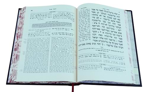 מקרא מפורש על הנ