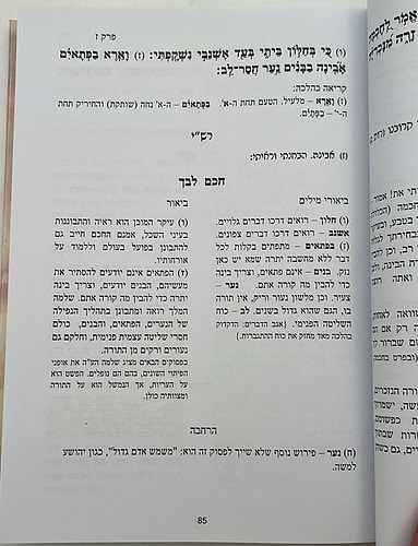 ספר משלי עם ביאור חכם ליבך / הרב מאיר לובין