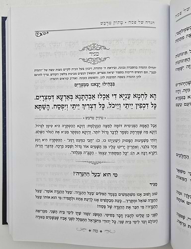 הגדה של פסח - מתוק מדבש / הרב יהודה מאיר טריקי שליט