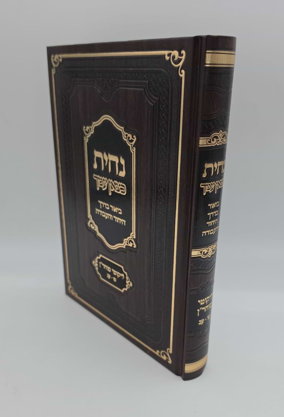 נחית כצאן עמך - ליקוטי מוהר"ן בדרך היחוד והעבודה חלק ב