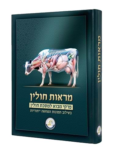 מראות חולין