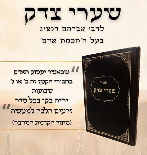 שערי צדק - מצוות התלויות בארץ / לרבי אברהם דנציג זצ