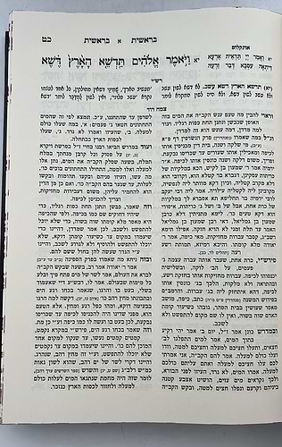 חמשה חומשי תורה עם פירוש צמח דוד ז' כרכים / הרב הגדול ר' יוסף דוד משאלוניקי זצוק