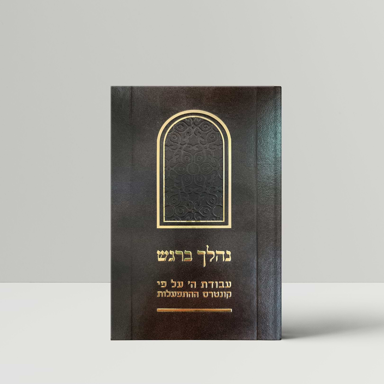 נהלך ברגש / הרב יצחק שפירא