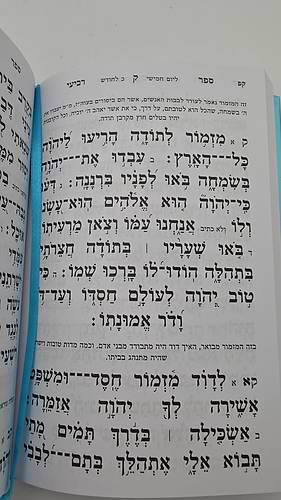 תהילים דרכי חיים - פורמט גדול 21 ס