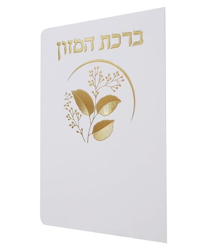 ברכת המזון כוונת הלב ע