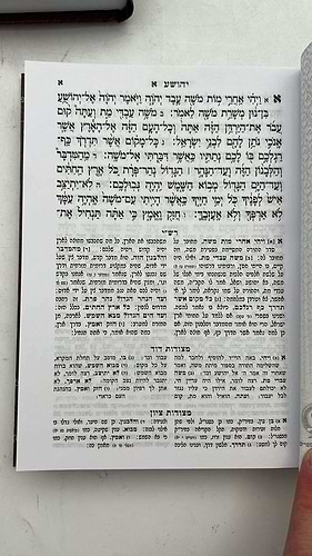 נביאים וכתובים עם רש
