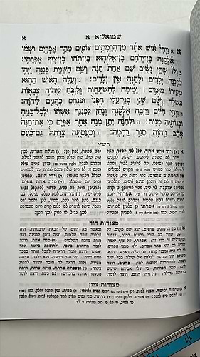 נביאים וכתובים עם רש
