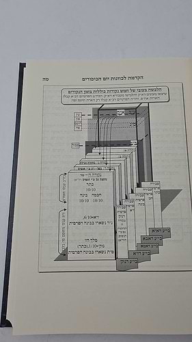 אילת אהבים - מועדים