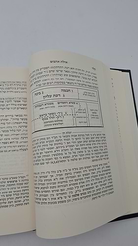 אילת אהבים - מועדים