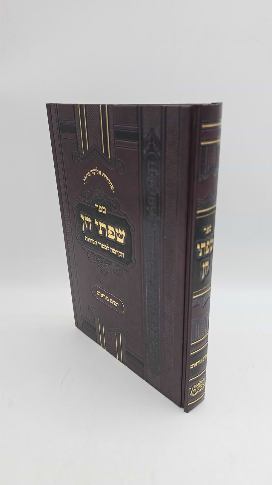 שפתי חן - הקדמה לספרי חסידות / ימים נוראים