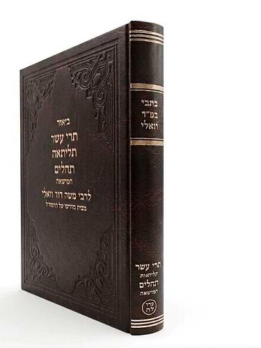 ביאור תרי עשר תליתאה / תהלים חמישאה - לרבי משה דוד ואלי זצ