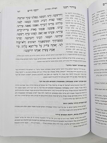 סידור רבנו יוסף חיים - הבן איש חי 8