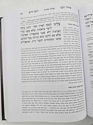 סידור רבנו יוסף חיים - הבן איש חי 9