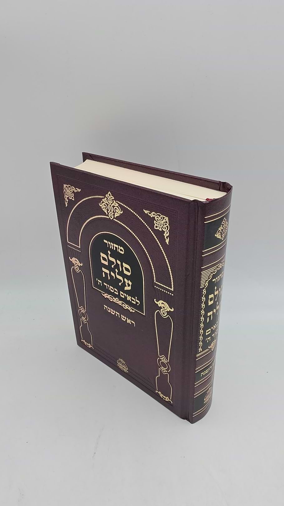 מחזור סולם עליה - לבאים בסוד ה