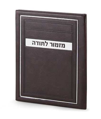 מזמור לתודה – דגם מיתר – חום