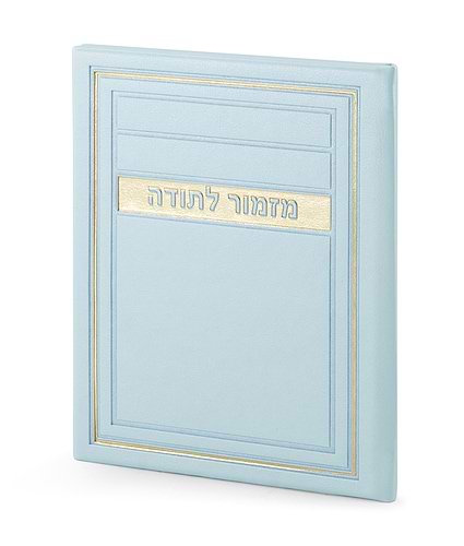 מזמור לתודה – דגם מיתר – מנטה