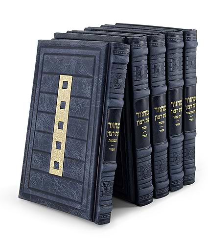 סט מחזורים עור אמיתי סדרת קונקורד – גדול – נוסח ספרד – כחול