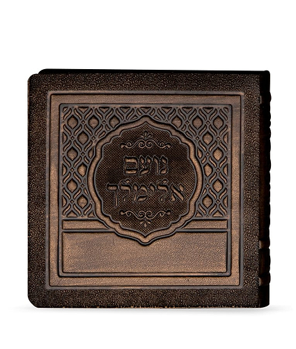 נועם אלימלך – עור אמיתי – ברונזה עור