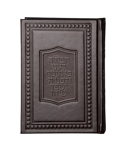 תחינות דגם ספיר – סקאי