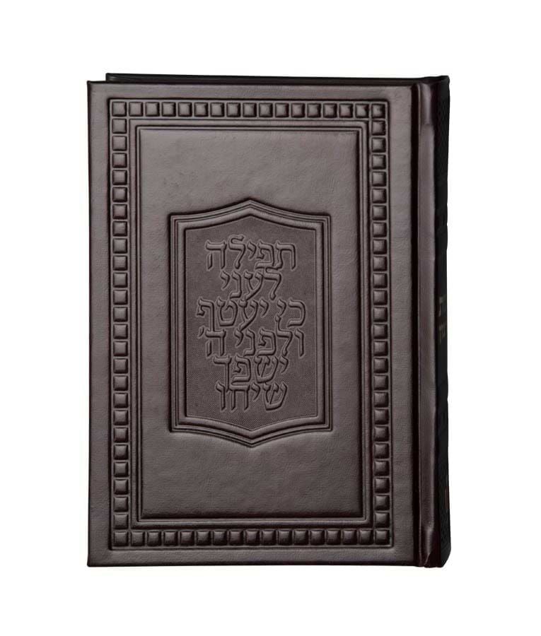תחינות דגם ספיר – סקאי