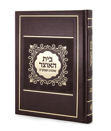 בית האוצר דמוי עור לסוכות