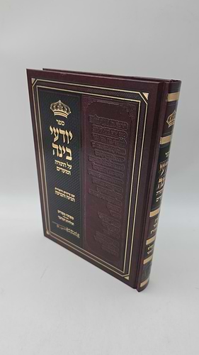 יודעי בינה על התורה ומועדים