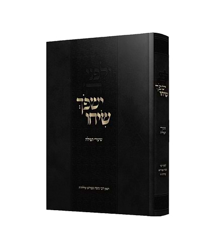 ישפוך שיחו - שיעורי תפילה / הגאון רבי משה שפירא זצוק