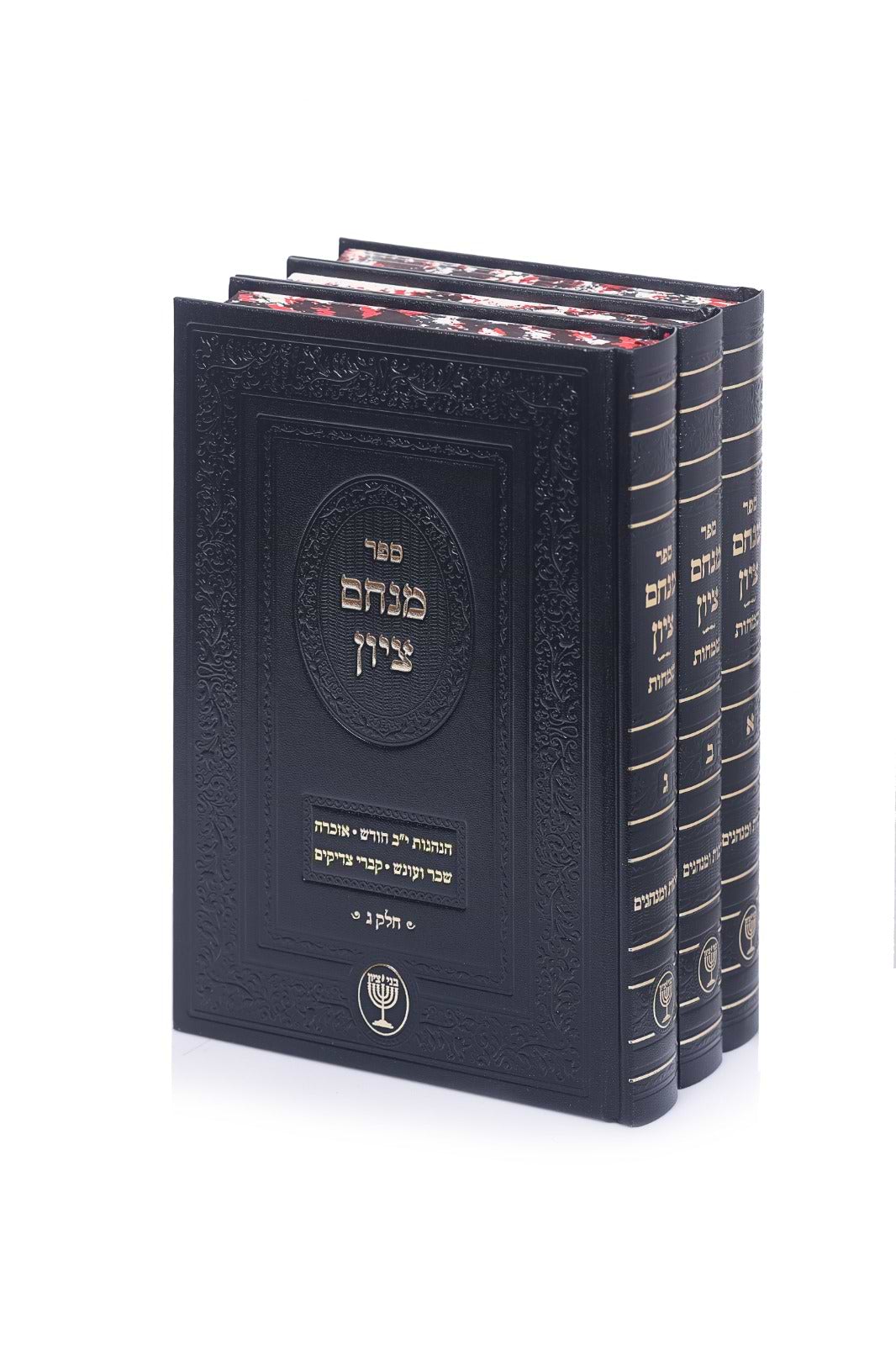 מנחם ציון - הלכות ומנהגי אבלות סט ג