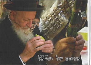 אביהם של ישראל חלק ו' / סיפורים על הראשל"צ הרב מרדכי אליהו זצוק"ל הוצאה לאור דרכי הוראה לרבנים