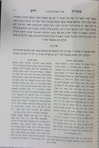 אוצרות חיים עם הגהות הרמ