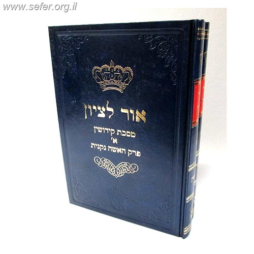 אור לציון קידושין ב