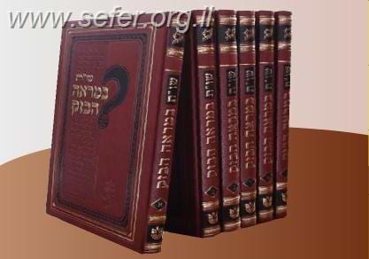שו"ת במראה הבזק ח
