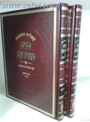 שו"ת פנים מאירות ב
