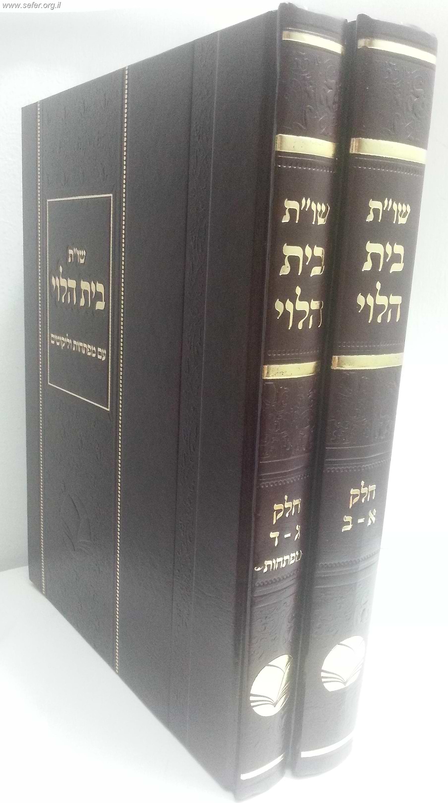 שו"ת בית הלוי ב