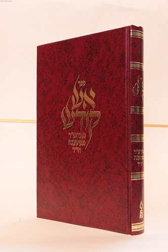 אש קודש / האדמו