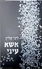 אשא עיני / ליבי קליין