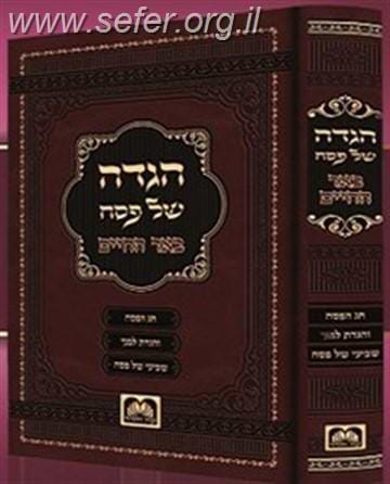 באר החיים - הגדה של פסח / ר' אברהם אלימלך בידרמן