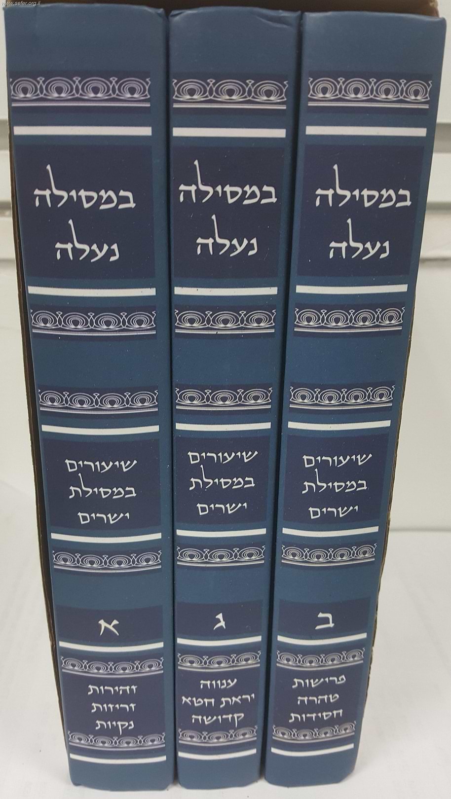 במסילה נעלה - שעורים במסילת ישרים ג