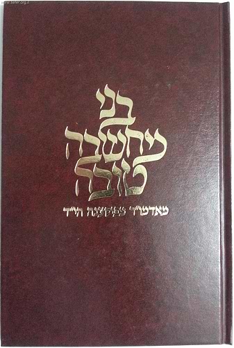 בני מחשבה טובה - האדמו