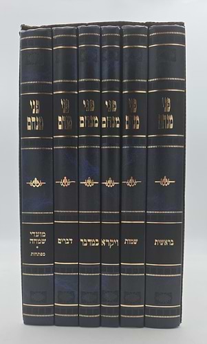 פני מנחם על התורה והמועדים סט ו' כרכים
