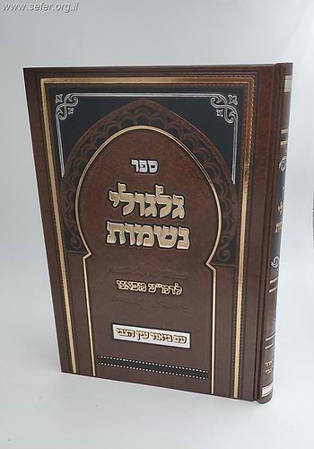 גלגולי נשמות לרמ''ע מפאנו - עם ביאור עין הצבי