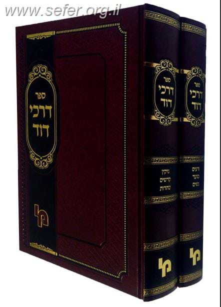 דרכי דוד על הש"ס ב"כ - ר