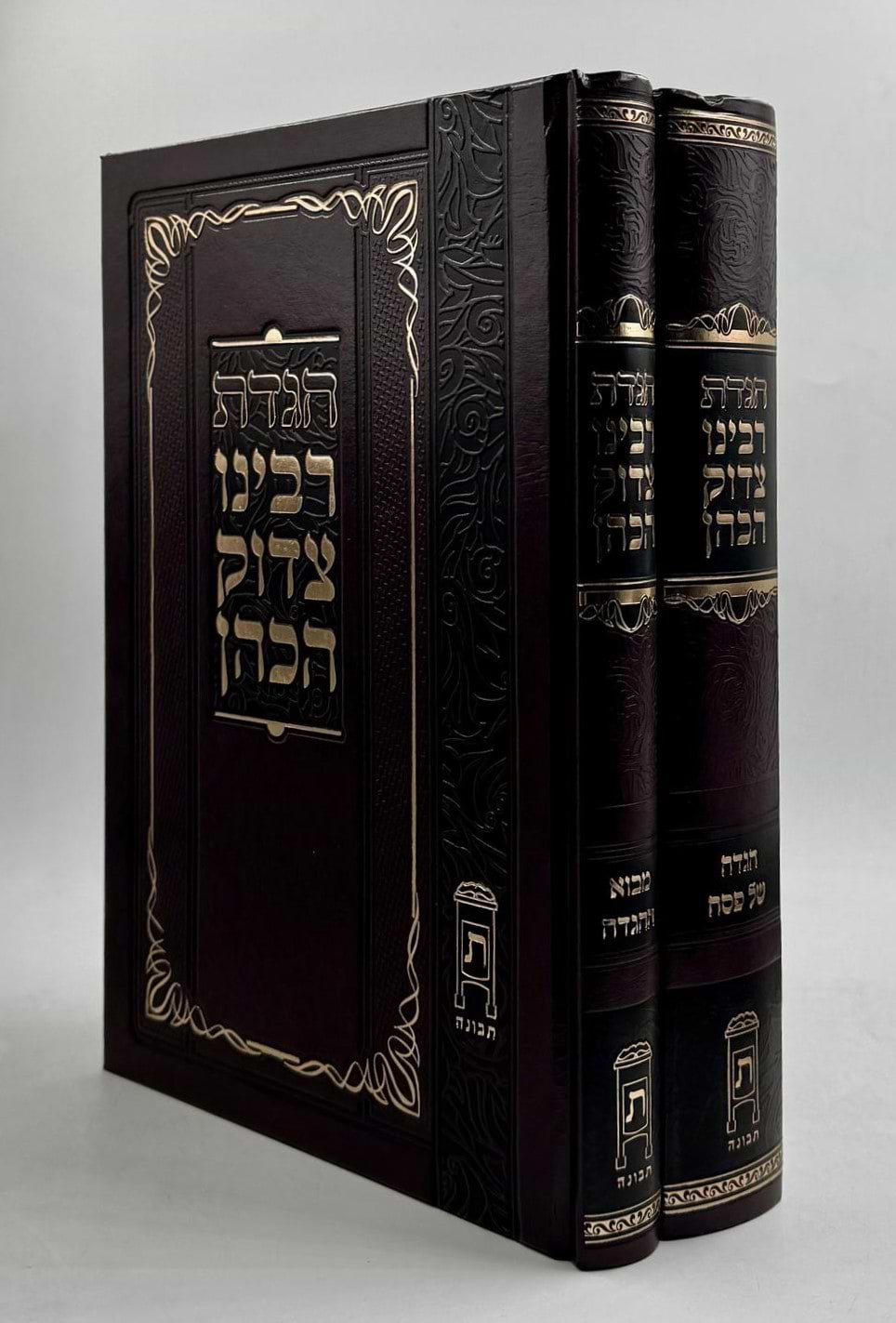 הגדה של פסח - רבינו צדוק הכהן מלובלין ב