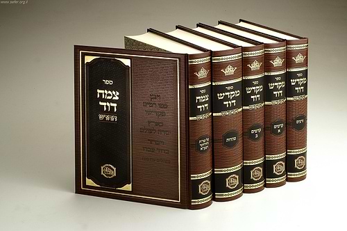 מקדש דוד ה' כרכים / רבי דוד הכהן רפפורט