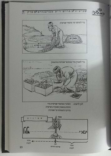 משניות מצויירות - מסכת שביעית / פני המשנה