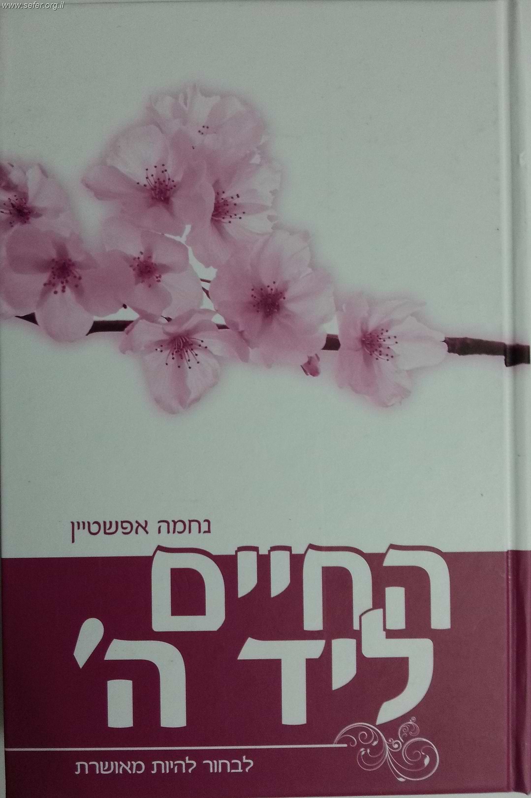 החיים ליד ה