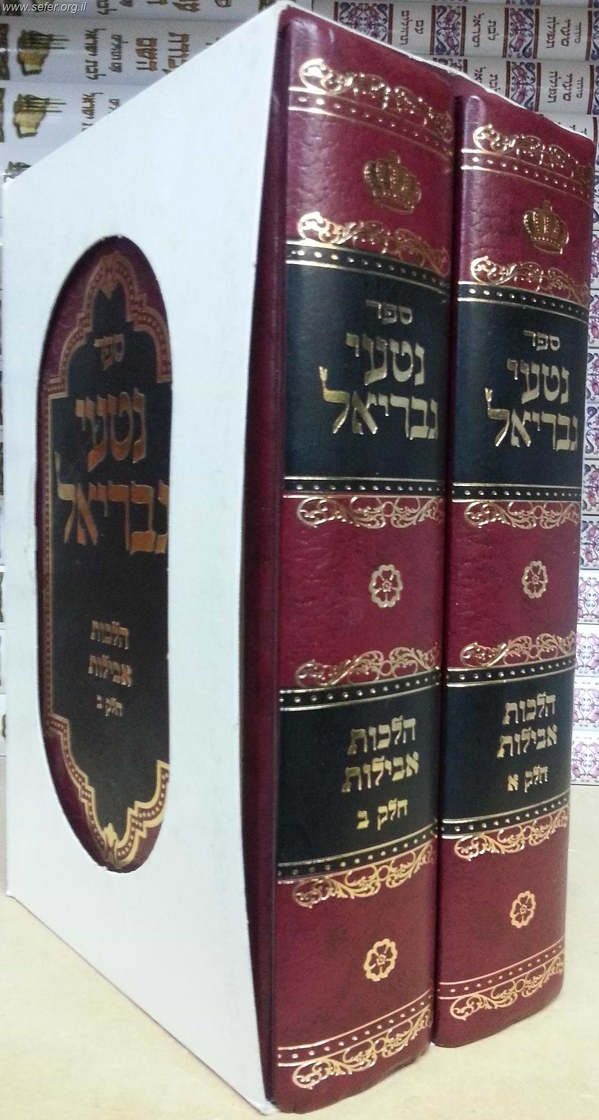נטעי גבריאל ב